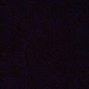 Meet your Posher, Ebonique